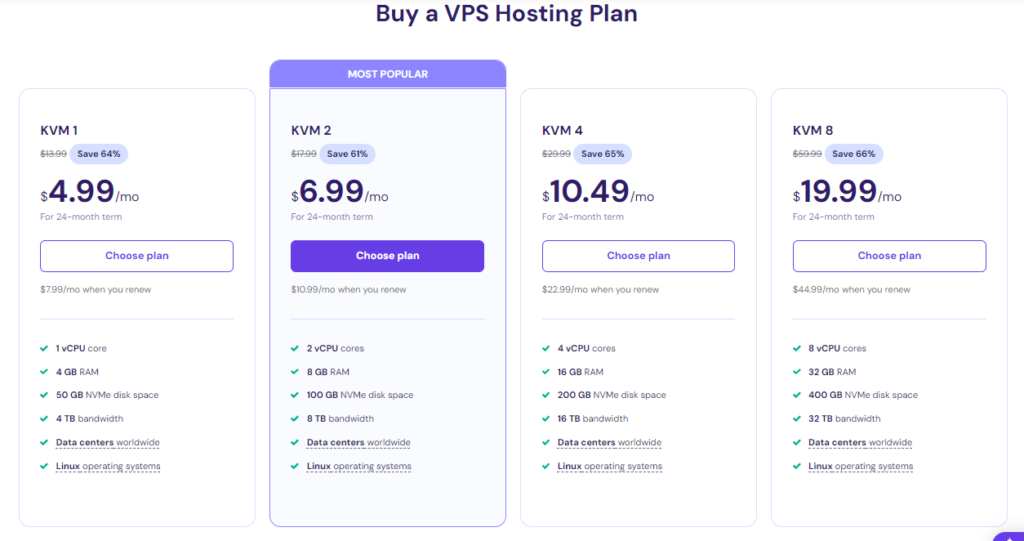 VPS Hosting Plan